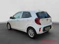 Kia Picanto Kia Dream Team 1.0 Navigation Rückfahrkamera Blanc - thumbnail 3