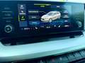 Skoda Octavia *SERVICE NEU*PICKERL NEU*ZAHNRIEMEN+WAPU GEMACHT* Blau - thumbnail 31