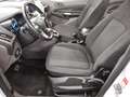 Ford Grand Tourneo Connect 1.5 EB Trend Navi RfK AHK Weiß - thumbnail 8