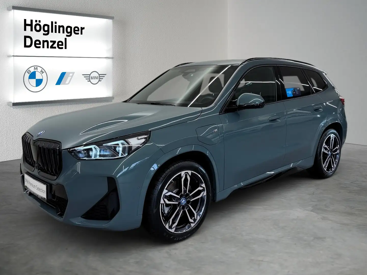 BMW X1 xDrive30e Grün - 2