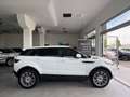 Land Rover Range Rover Evoque 2.2 SD4 PRESTIGE 190CV / NAVI / CAMERA / 19'' Wit - thumbnail 1