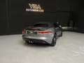 Jaguar F-Type 3.0 V6 S AUTO Grijs - thumbnail 14