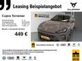 CUPRA Terramar 2.0 TSI 4D VZ DSG *ACC*HuD*NAV*R-CAM* Grau - thumbnail 1