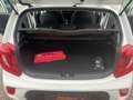 Kia Picanto 1,0 MPI SHZ, LHZ, KLIMA, AUX, USB, BLUETOOTH USW. Weiß - thumbnail 21
