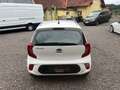 Kia Picanto 1,0 MPI SHZ, LHZ, KLIMA, AUX, USB, BLUETOOTH USW. Weiß - thumbnail 10