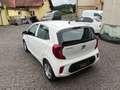 Kia Picanto 1,0 MPI SHZ, LHZ, KLIMA, AUX, USB, BLUETOOTH USW. Weiß - thumbnail 11