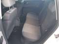 SEAT Leon Leon Salsa 1,4 Salsa Weiß - thumbnail 8