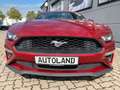 Ford Mustang Premium Unfallfrei CARFAX Rouge - thumbnail 9