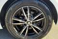 Peugeot 308 308 BlueHDi 120 S&S SW Allure Bianco - thumbnail 7
