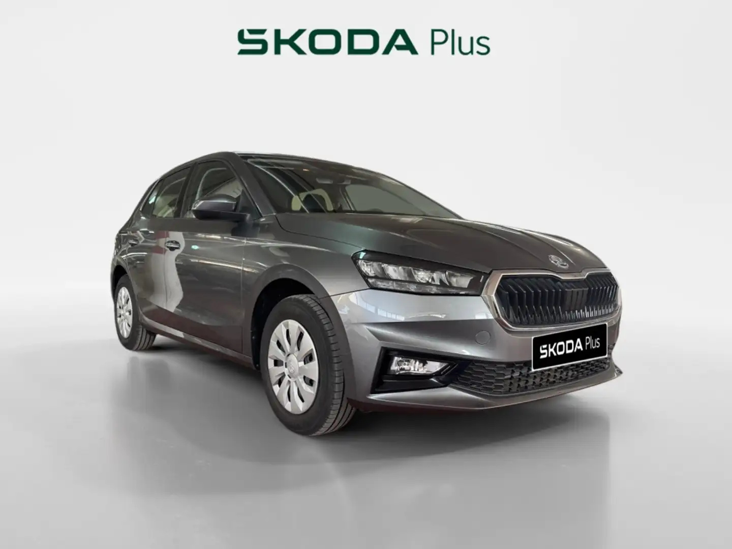 Skoda Fabia GO 1,0 MPI 59 KW (80 CV) MANUAL 5 VEL. Grigio - 1
