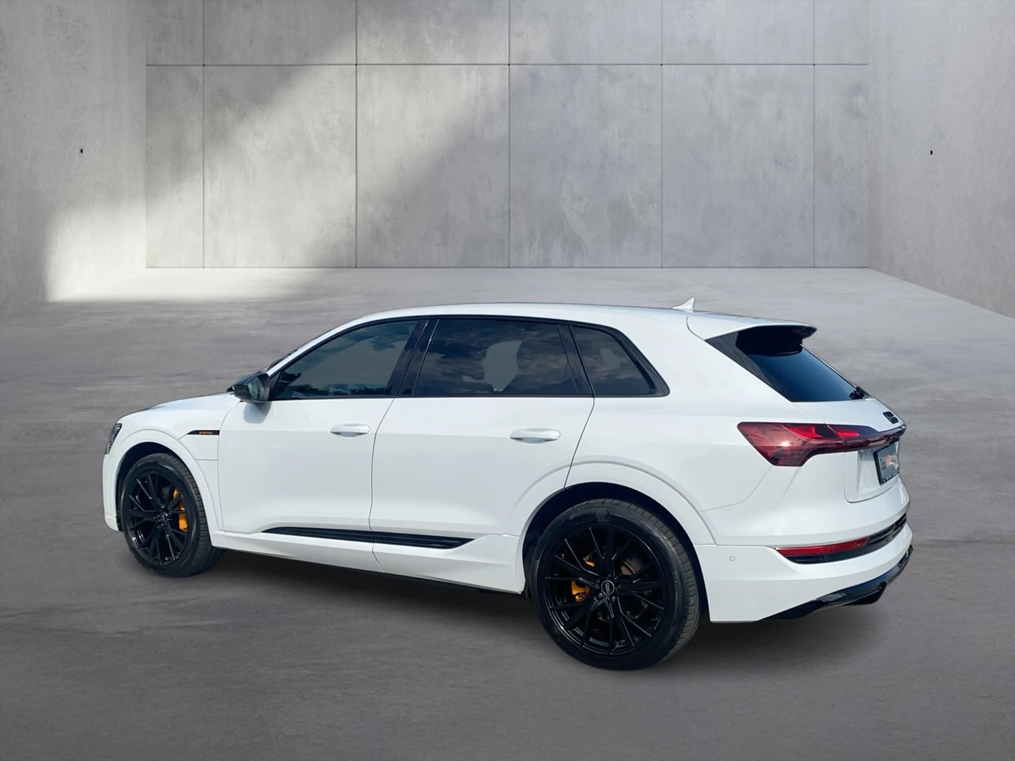 Audi e-tron 55 quattro 300 kW S line — photo 4