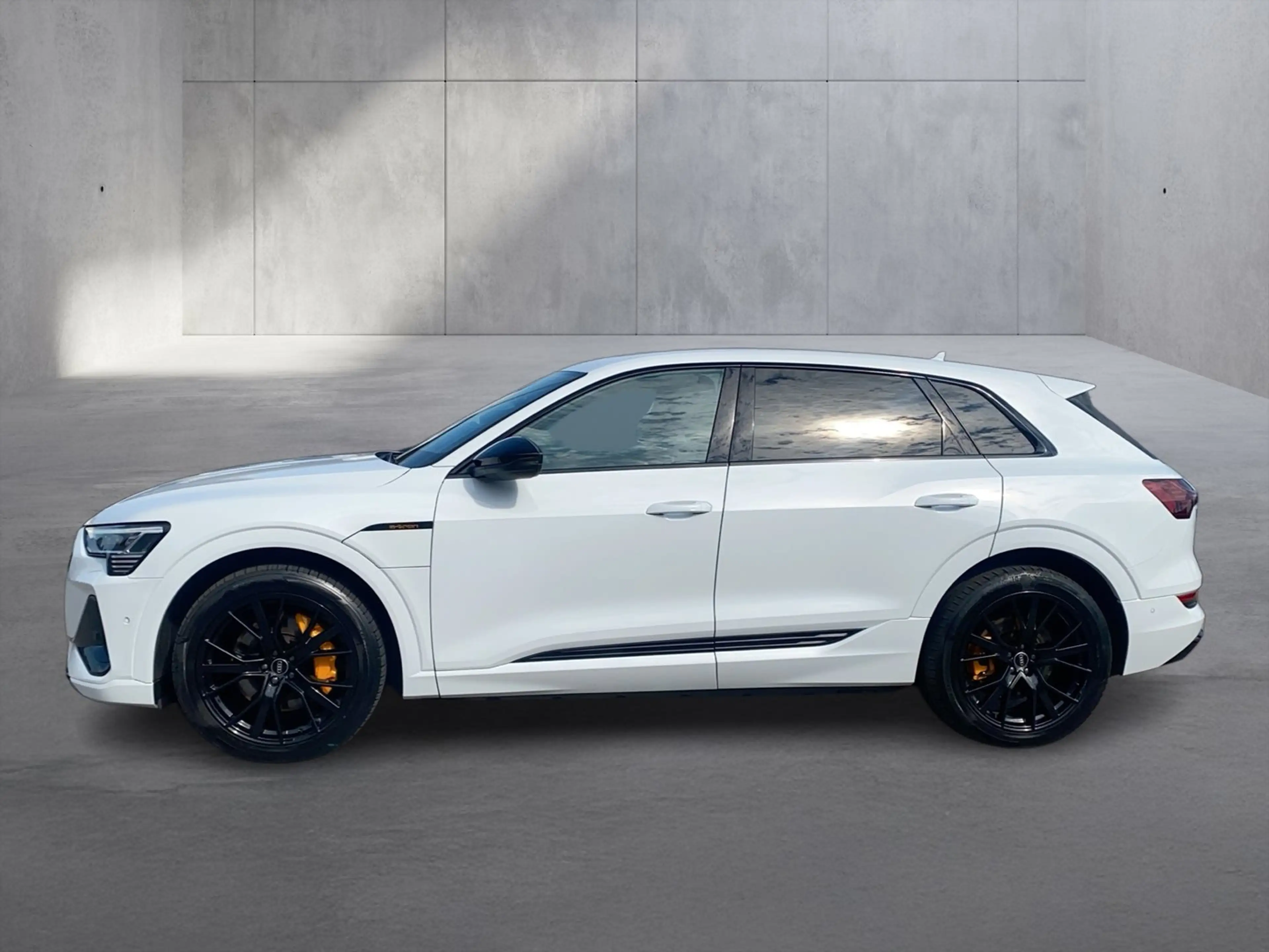 Audi e-tron 55 quattro 300 kW S line — photo 3