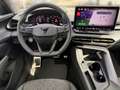 CUPRA Terramar TRIBE 1.5 e-TSI 150 PS DSG AHV+TrailerAs Schwarz - thumbnail 10