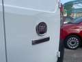Fiat Fiorino 1.3 MJT 95CV Cargo White - thumbnail 11