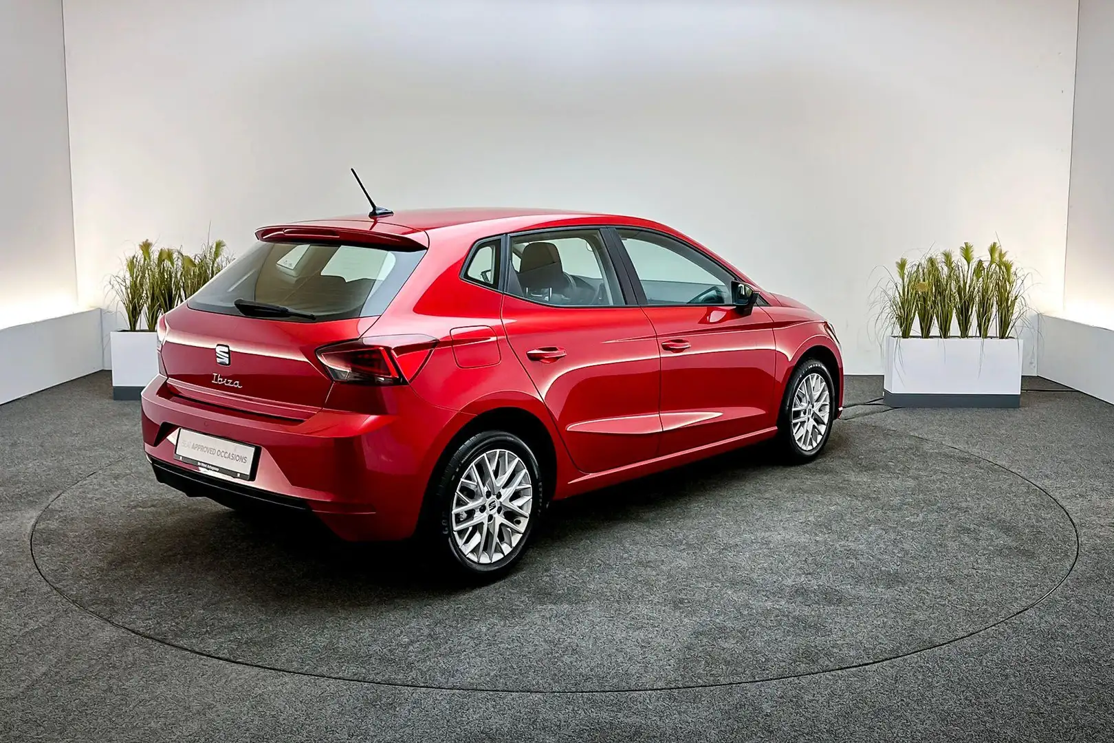 SEAT Ibiza 1.0 EcoTSI 115pk DSG Style Business Connect | Appl Rood - 2