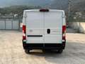 Toyota Proace Max 33 2.2 BlueHDi 120CV PM-TN Furgone Bianco - thumbnail 6