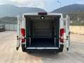 Toyota Proace Max 33 2.2 BlueHDi 120CV PM-TN Furgone Bianco - thumbnail 14