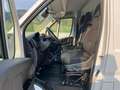 Toyota Proace Max 33 2.2 BlueHDi 120CV PM-TN Furgone Bianco - thumbnail 10