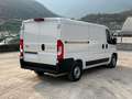 Toyota Proace Max 33 2.2 BlueHDi 120CV PM-TN Furgone Bianco - thumbnail 5