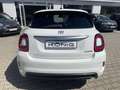 Fiat 500X Dolcevita mit Faltdach und Automatik Weiß - thumbnail 5