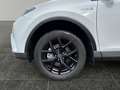 Toyota RAV 4 2,5 Hybrid Active 4WD Anhängerkupplung! 8-fach! Weiß - thumbnail 15