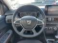 Dacia Sandero Stepway 1.0 TCE GLP STEEPWAY CONFORT 101CV Gris - thumbnail 24