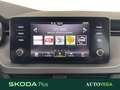 Skoda Kamiq 1.0 tsi ambition 110cv Grigio - thumbnail 14