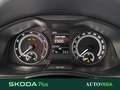 Skoda Kamiq 1.0 tsi ambition 110cv Grigio - thumbnail 13