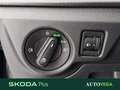 Skoda Kamiq 1.0 tsi ambition 110cv Grigio - thumbnail 12