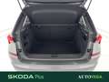 Skoda Kamiq 1.0 tsi ambition 110cv Grigio - thumbnail 10