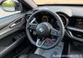 Alfa Romeo Stelvio 2.2 Turbodiesel 210 CV AT8 Q4 Veloce / R7E00545 Grigio - thumbnail 14