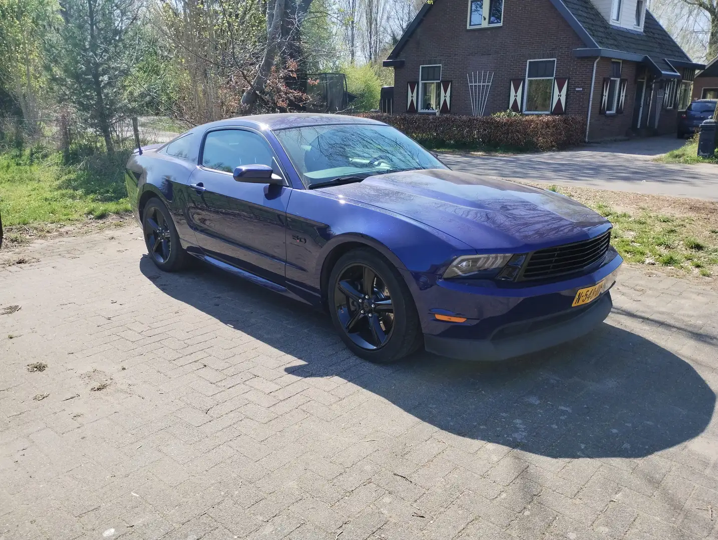 Ford Mustang Mustang 5.0 V8 Albastru - 1