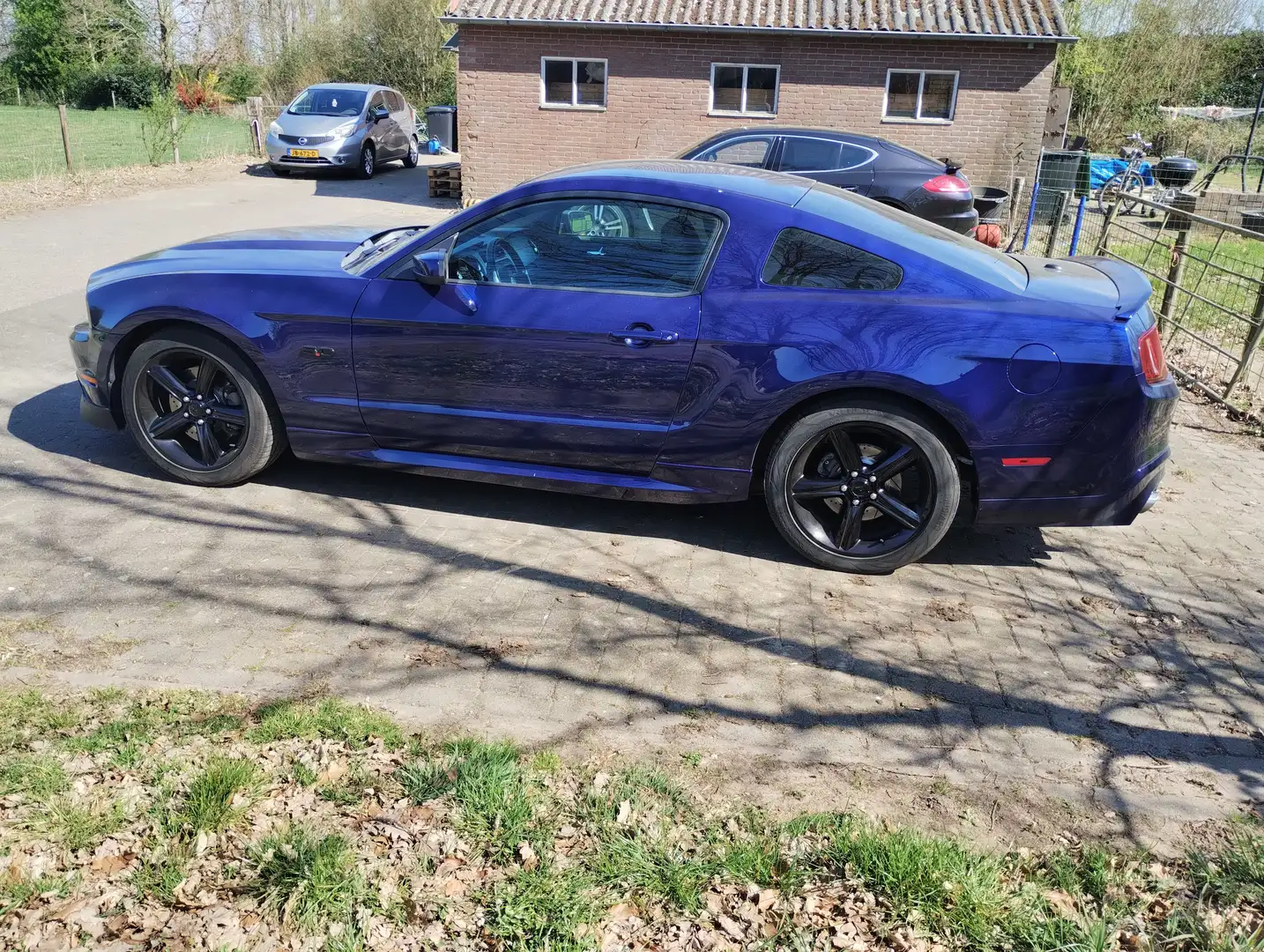 Ford Mustang Mustang 5.0 V8 Albastru - 2