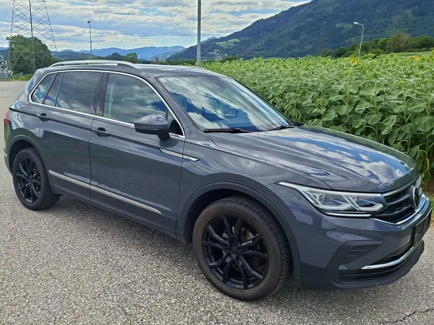 Volkswagen Tiguan Tiguan 2,0 TDI 4Motion Life DSG Life Grau - 1