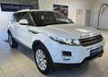 Land Rover Range Rover Evoque Pure Tech 2,2 TD4 --Anhängerkupplung 13-polig-- Weiß - thumbnail 6
