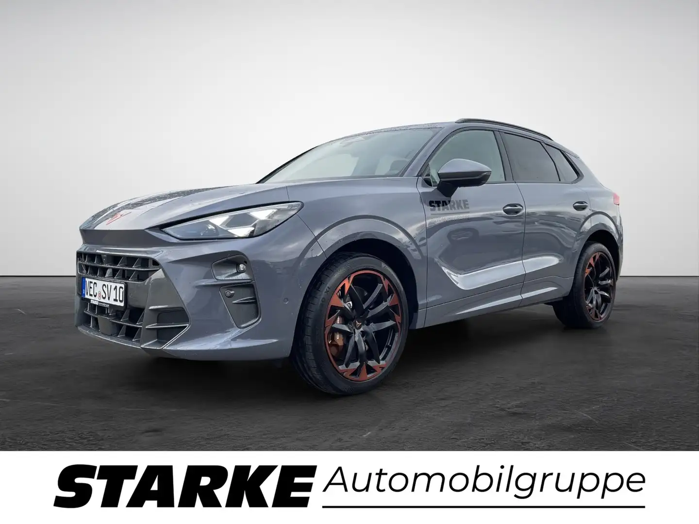 CUPRA Terramar VZ 2.0 TSI DSG 4Drive Grau - 1