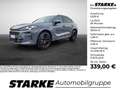 CUPRA Terramar VZ 2.0 TSI DSG 4Drive Grau - thumbnail 1