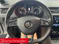 Skoda Octavia Combi RS 2.0 TSI DSG NAVI KAMERA CANTON EL.KLAPPE Biały - thumbnail 13