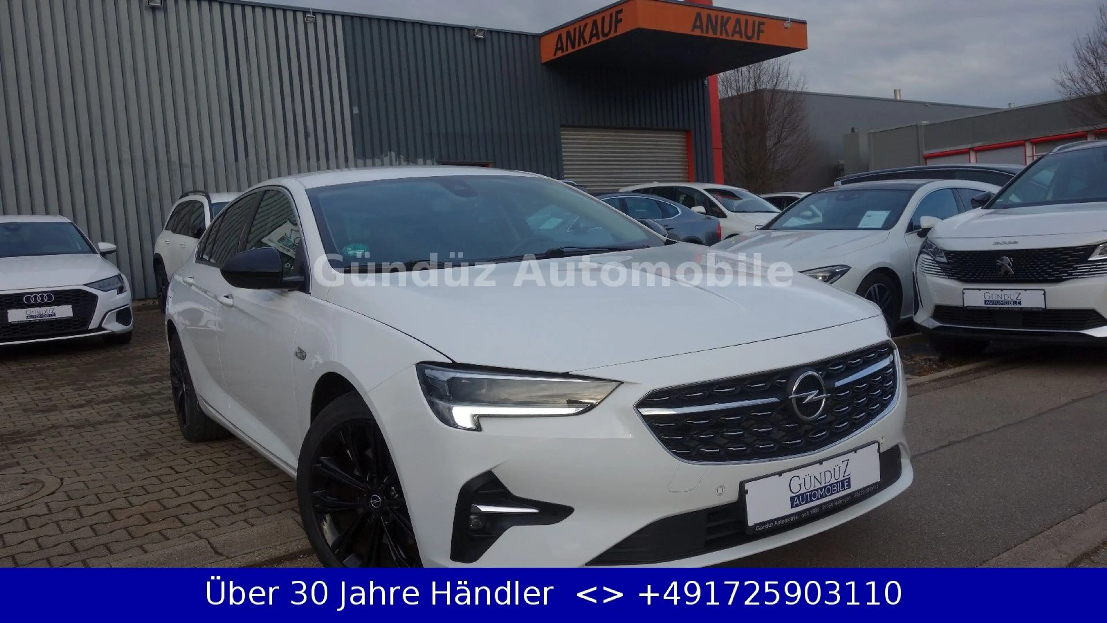 Opel Insignia B 2.0 Diesel Grand Sport 4x4*18"ZOL ALU — photo 3