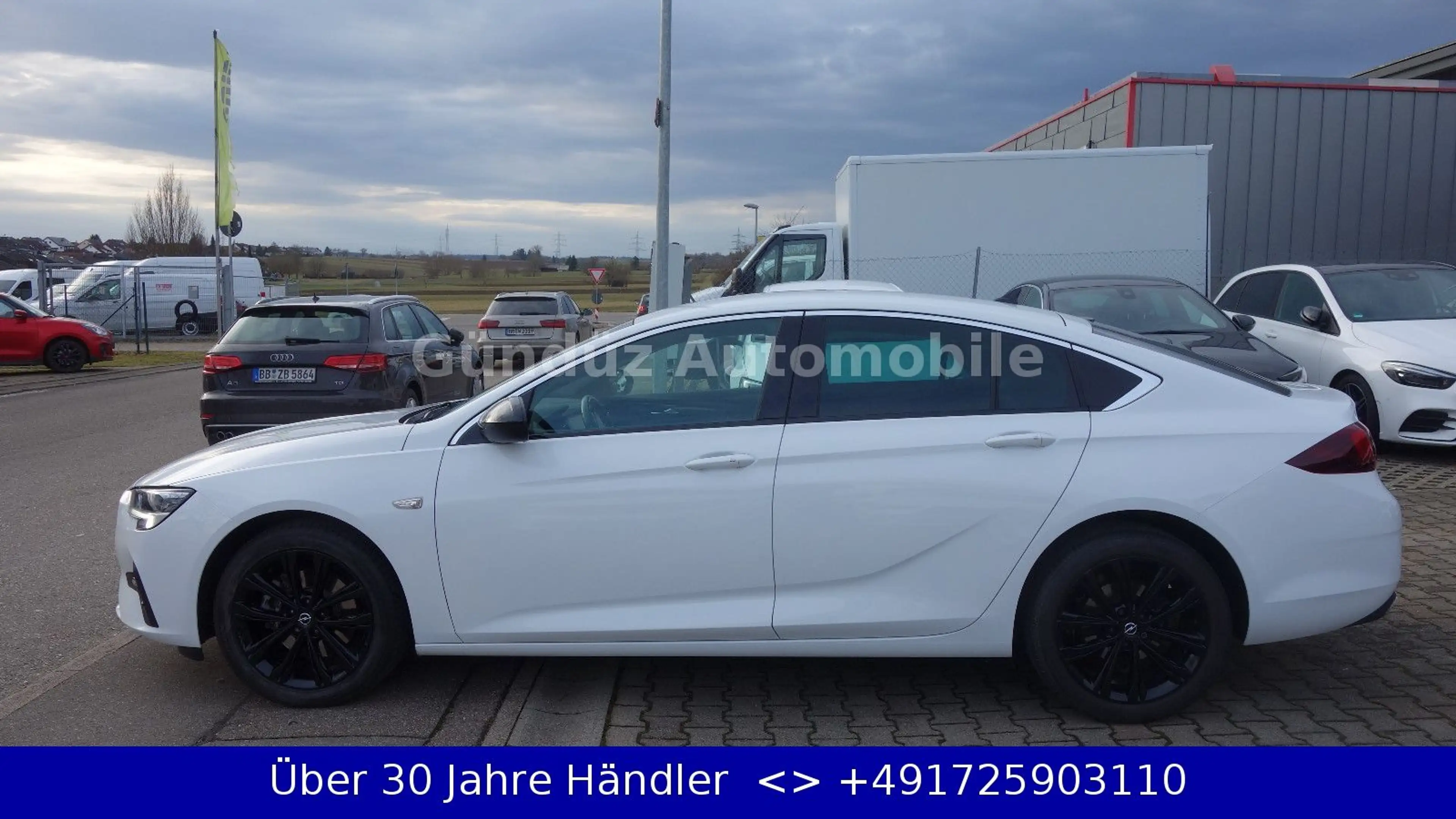 Opel Insignia B 2.0 Diesel Grand Sport 4x4*18"ZOL ALU — photo 4