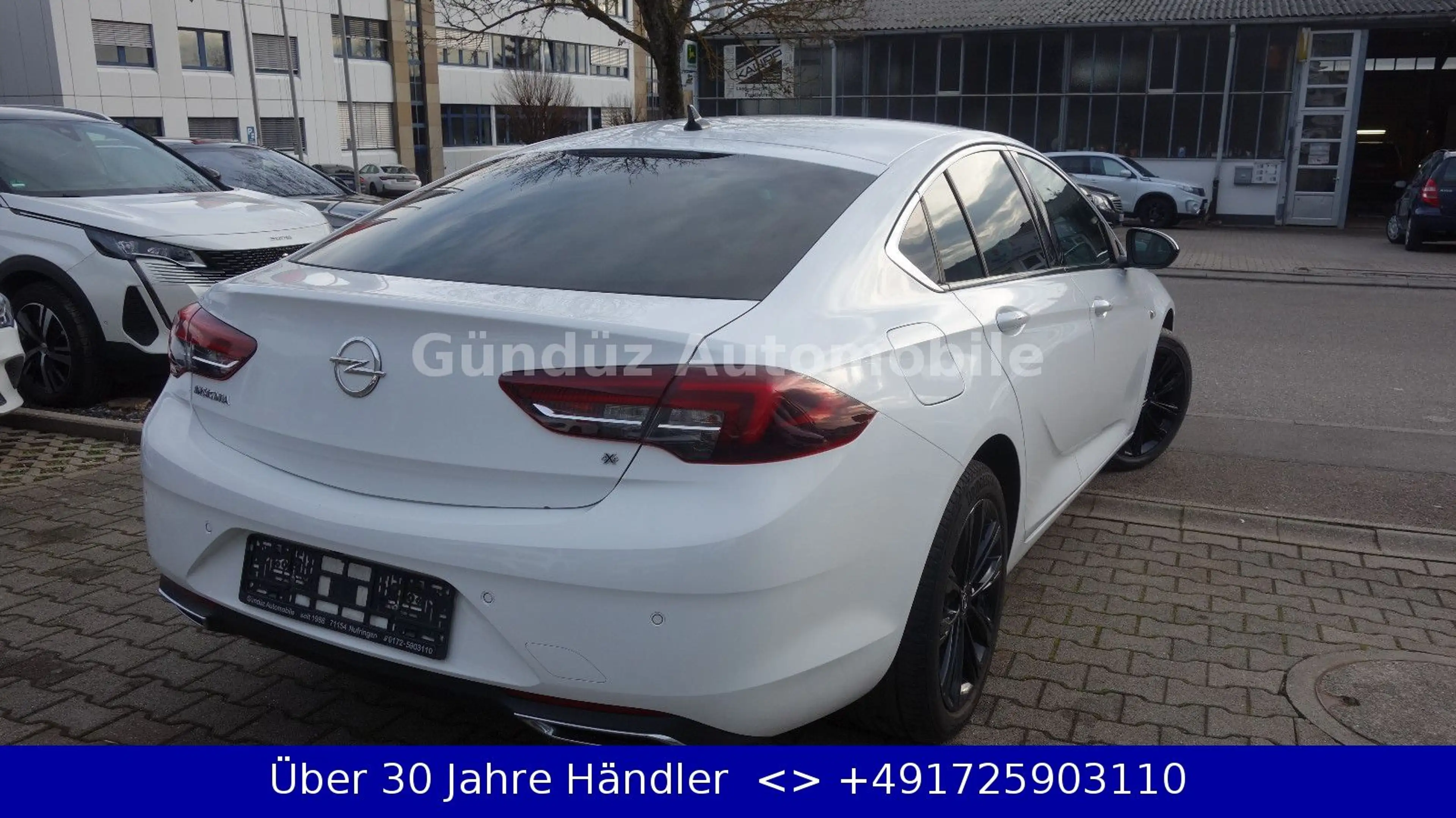 Opel Insignia B 2.0 Diesel Grand Sport 4x4*18"ZOL ALU — photo 8