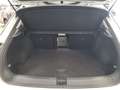 Volkswagen T-Roc 1.0 TSI LED- PAK PARKING-C.LEGA 16"-BICOL Grigio - thumbnail 8