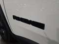 Jeep Renegade NIGHT EAGLE 1.6 MJT 120CV DCT AUTOMATIC-COME NUOVA Blanc - thumbnail 13