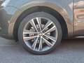SEAT Alhambra Alhambra FR 2,0 TDI DSG 4WD FR Braun - thumbnail 8