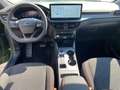 Ford Kuga Hybrid ST-Line Grün - thumbnail 10