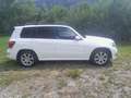 Mercedes-Benz GLK 220 GLK 220 CDI BlueEfficiency A-Edition Plus Aut. A-Edition Plus Weiß - thumbnail 3