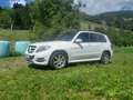 Mercedes-Benz GLK 220 GLK 220 CDI BlueEfficiency A-Edition Plus Aut. A-Edition Plus Weiß - thumbnail 2