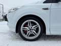 Ford Kuga 2,0 TDCi ST LINE 4x4 Aut. - MEGA OPTIK - Zahnri... Weiß - thumbnail 8