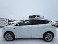 Ford Kuga 2,0 TDCi ST LINE 4x4 Aut. - MEGA OPTIK - Zahnri... Weiß - thumbnail 9