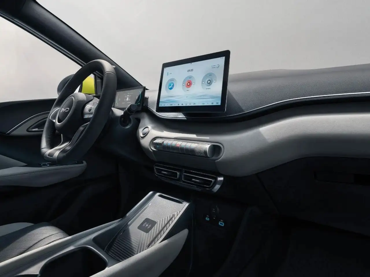 BYD DOLPHIN SURF
